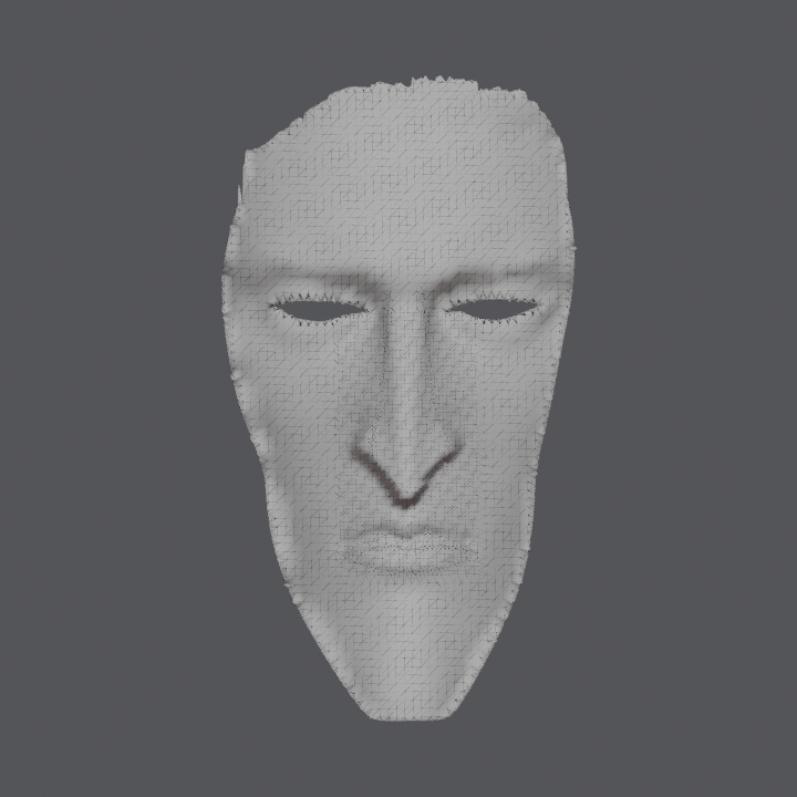 The actual triangle mesh of the generated facial guide, with two open eye holes.